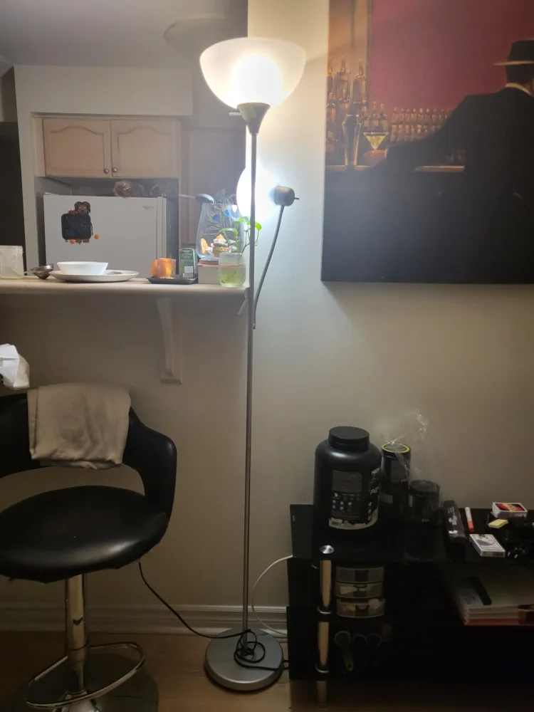 Floor lamp with reading light image indicator(4)