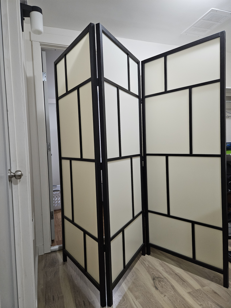 Aesthetic Space Divider