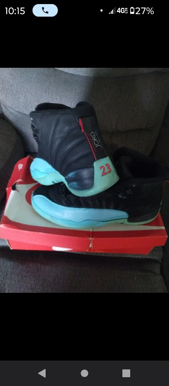 Air Jordan 12 Retro image indicator(4)