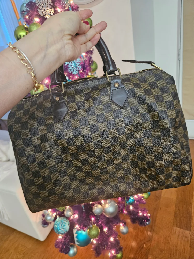 Louis Vuitton Speedy 30 image indicator(2)