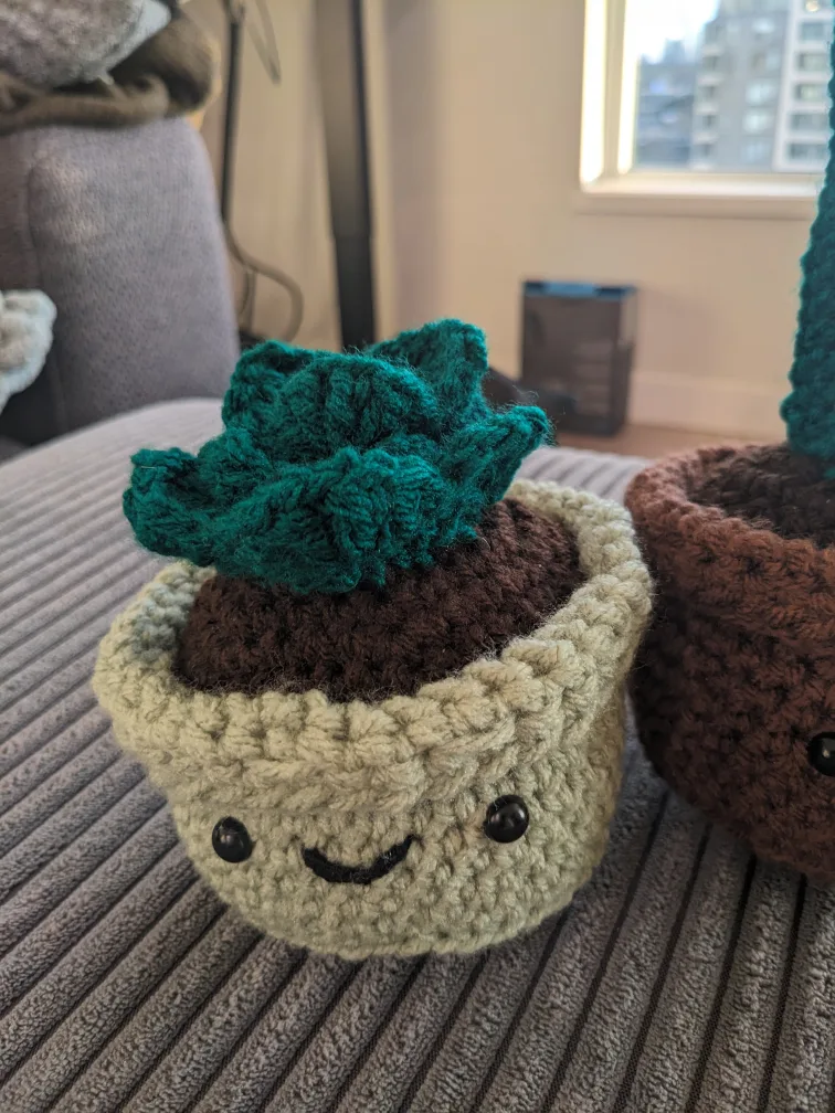 Crocheted Cactus and Succulent Plants image indicator(2)