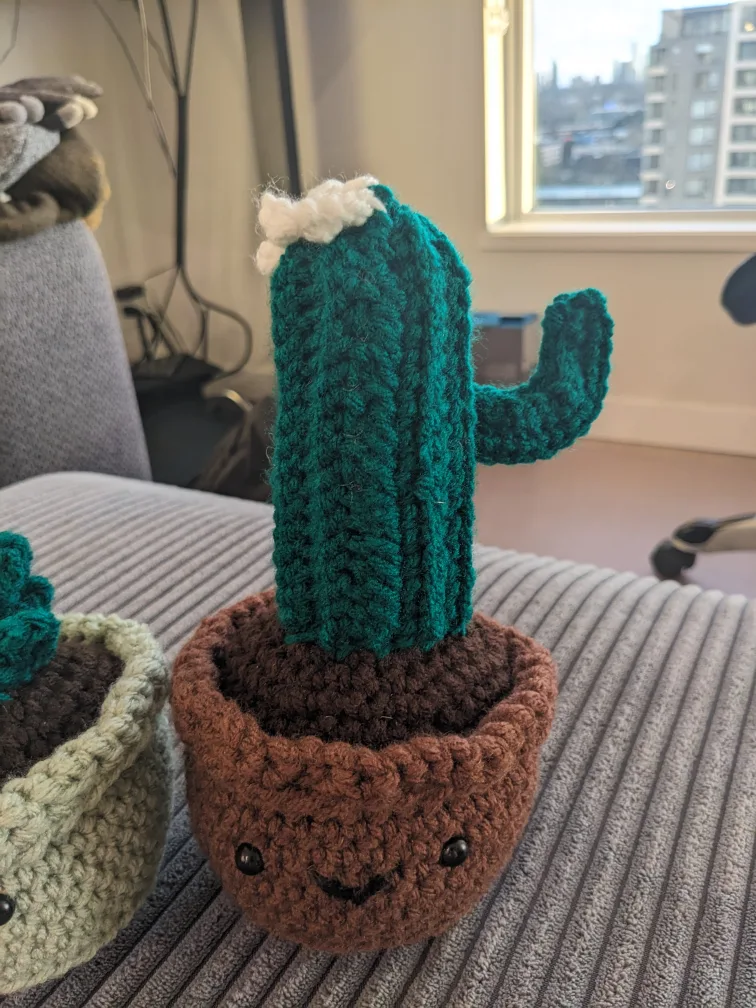 Crocheted Cactus and Succulent Plants image indicator(3)