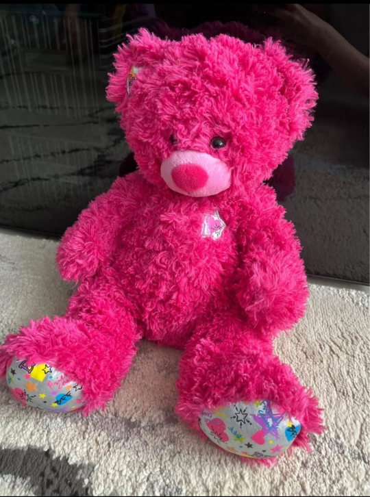 Build-A-Bear Workshop Plush Bear