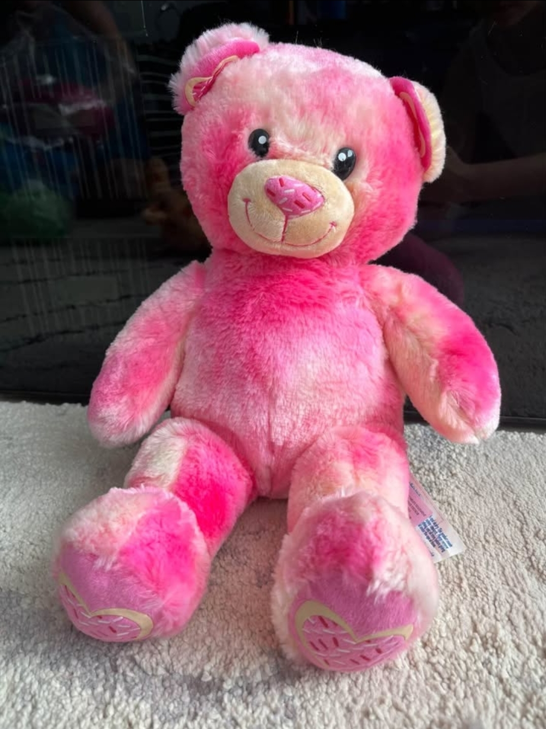 Build-A-Bear Workshop Plush Bear - photo 3