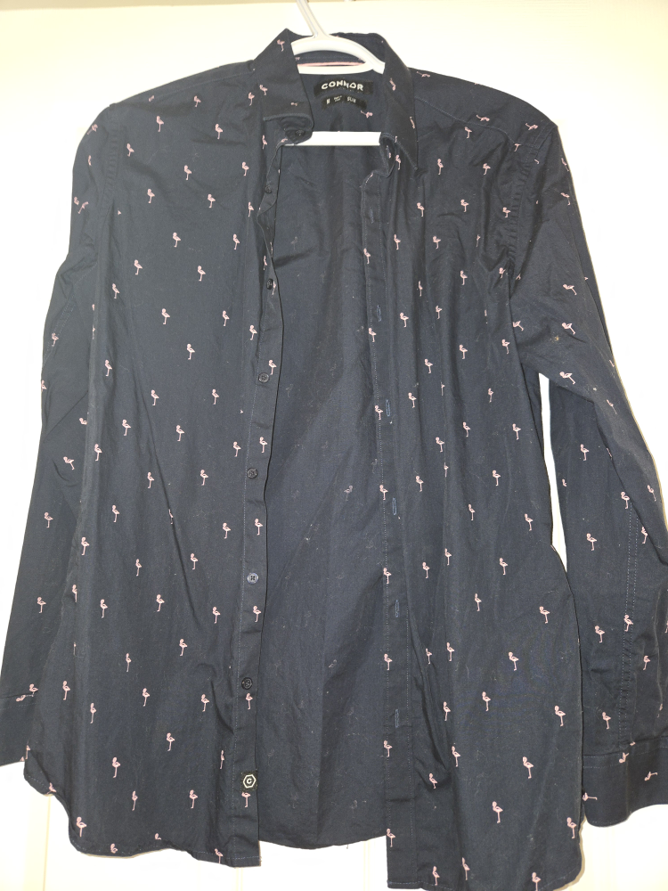 Men's Connor Flamingo Print Long Sleeve Button-Down Shirt
