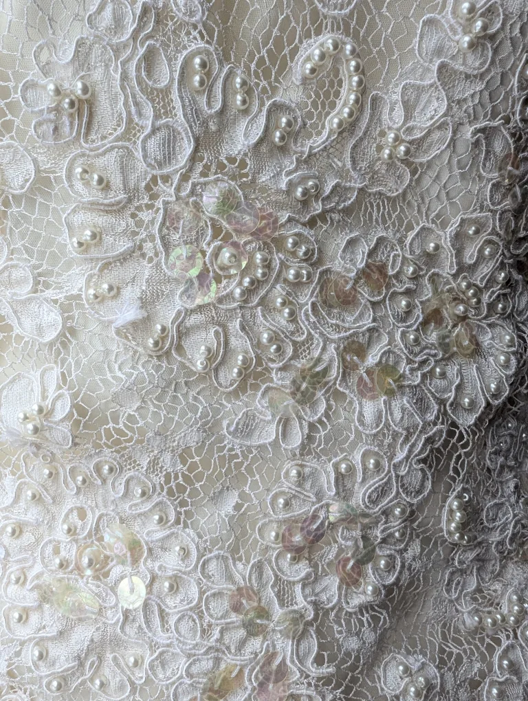 Vintage Beaded Lace Wedding Dress image indicator(6)