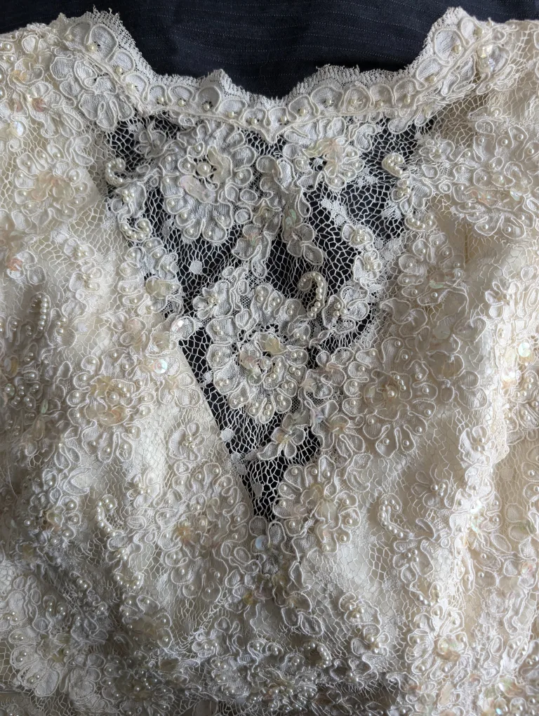 Vintage Beaded Lace Wedding Dress image indicator(7)