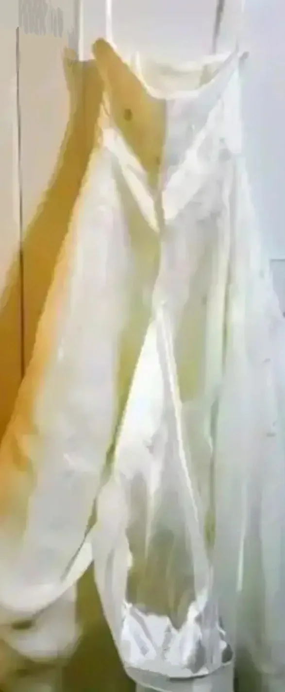 Michaelangelo Beaded Ball Wedding Gown from David's Bridals. image indicator(9)