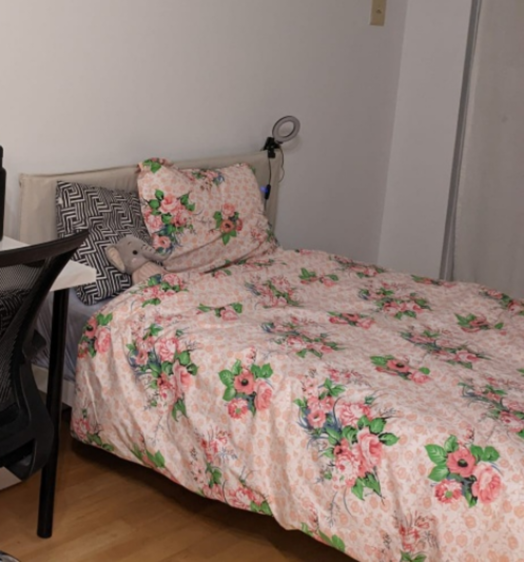 Bed Frame & Mattress