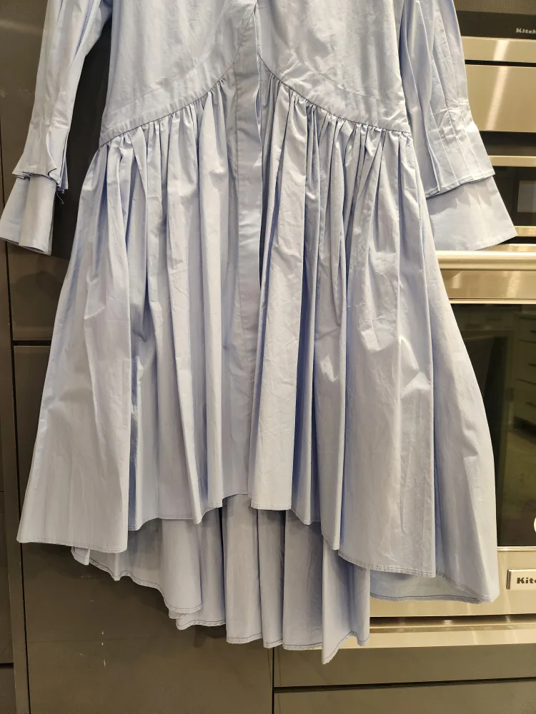 Blue Button-Down Dress image indicator(5)