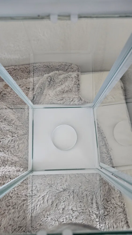 White Metal Lantern with Glass Panels image indicator(3)