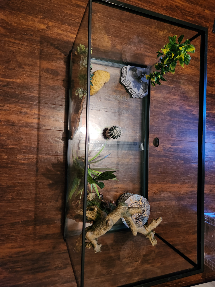 Reptile terrarium with accessories - photo 3