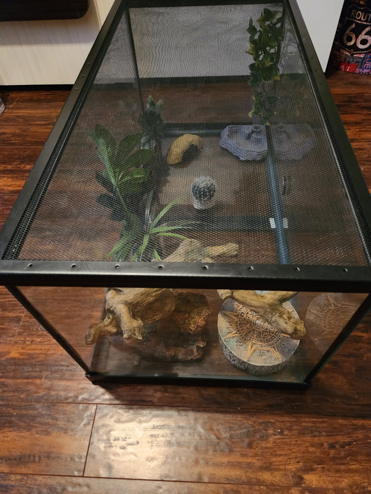 Reptile terrarium with accessories - photo 2