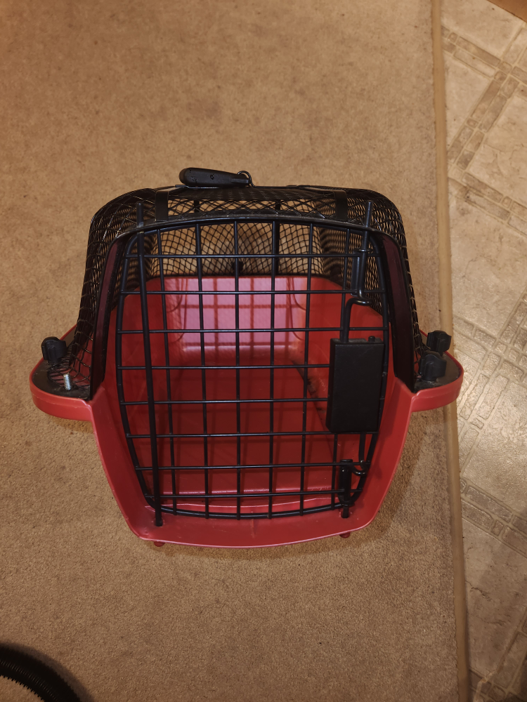 Red Pet Carrier Airline Approved