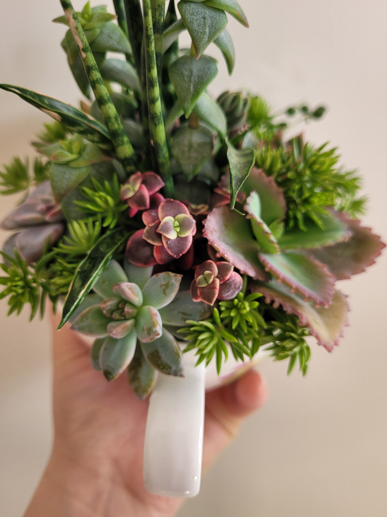 Gorgeous succulent arrangement!!! Great gift idea!!!🌷🌷🌷 - photo 4