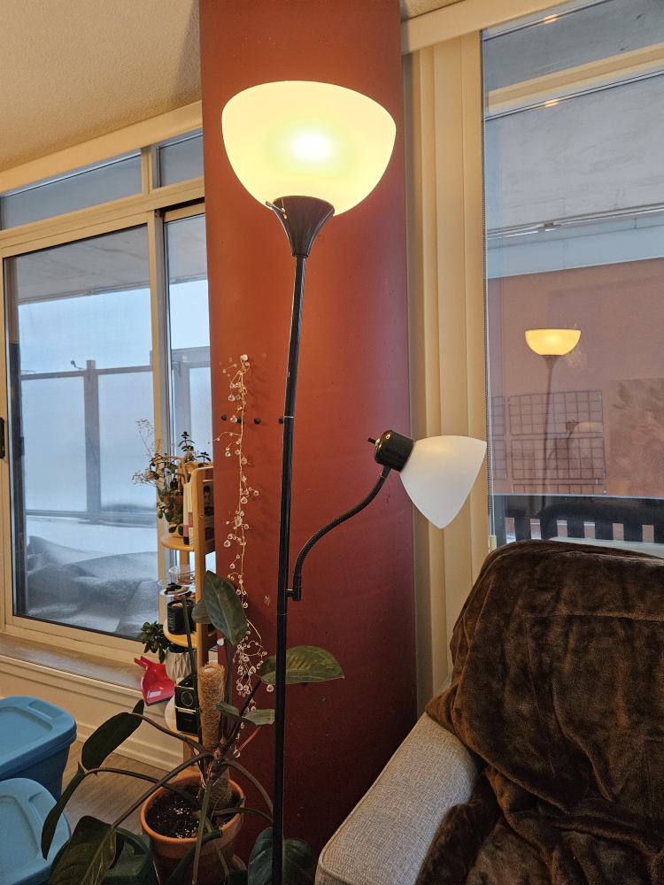 Two-light Floor Lamp
