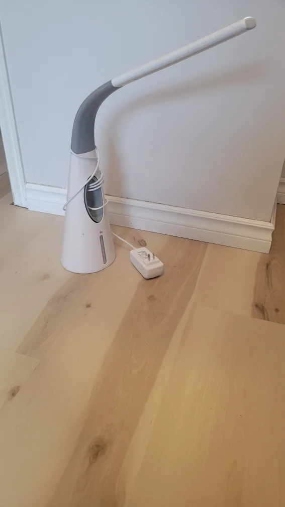 Desk Lamp with Flexible Arm