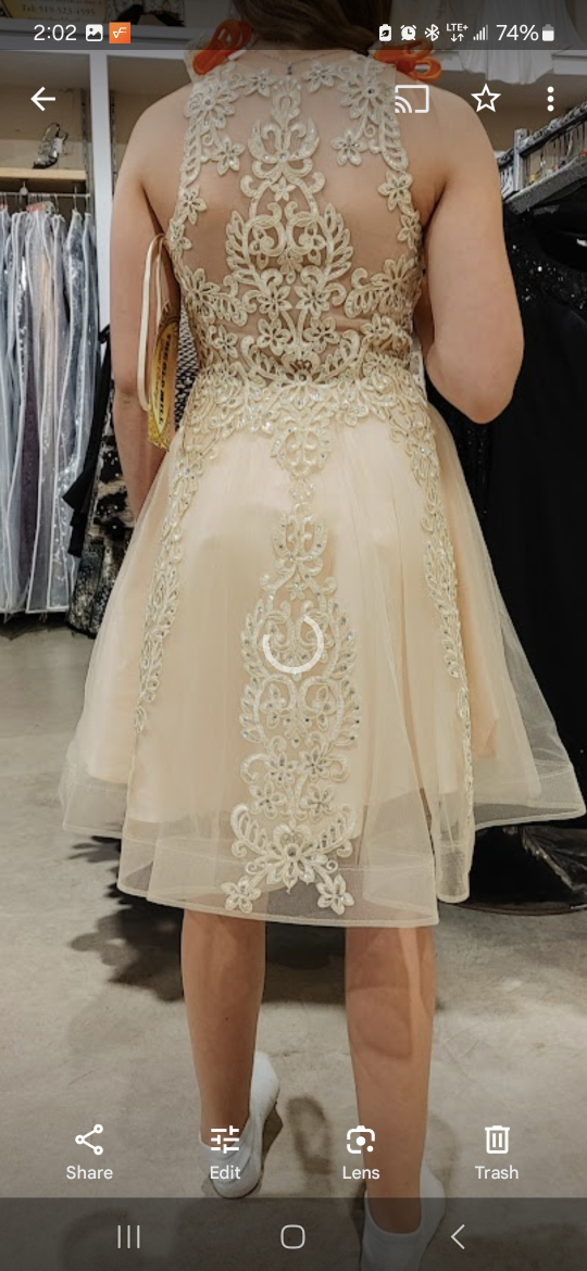 Champagne-coloured Beaded Grad Dress