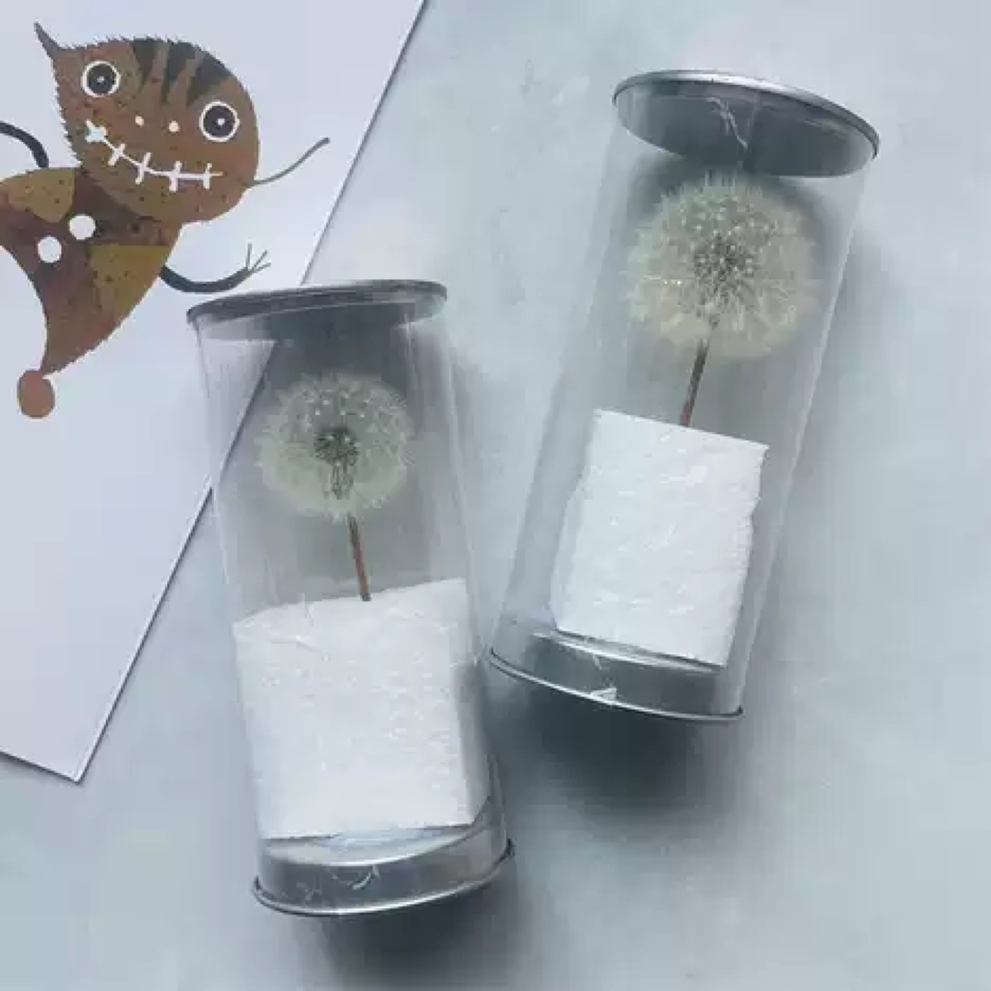 Wild Dandelions Dome
