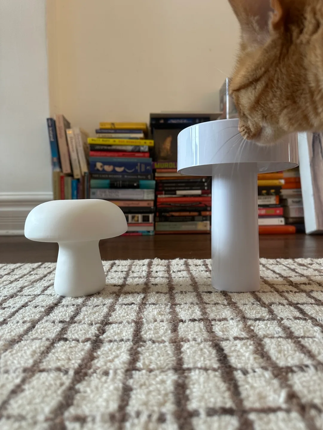 2x mushroomy lights image indicator(3)