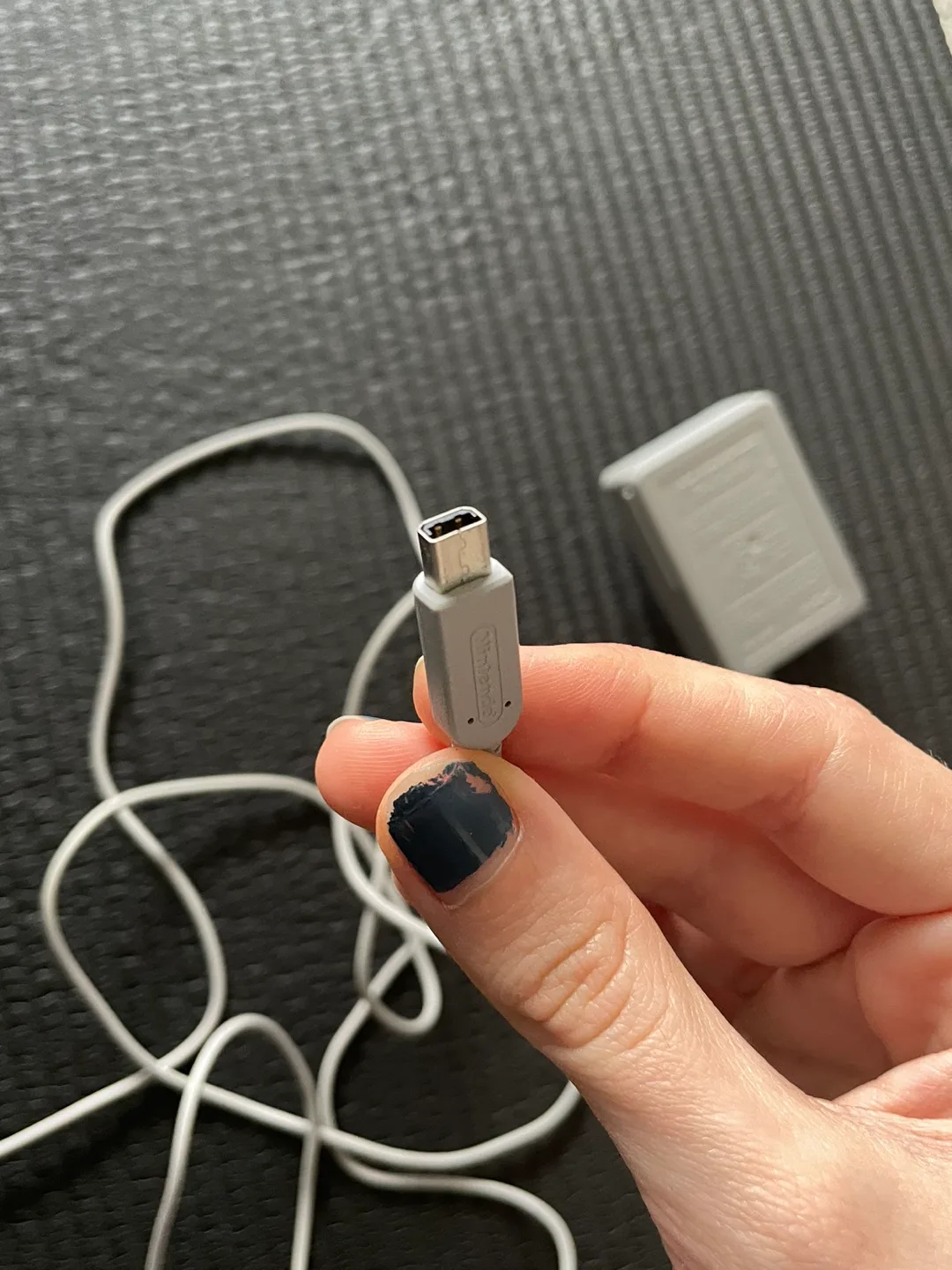 Nintendo DSi charger image indicator(3)