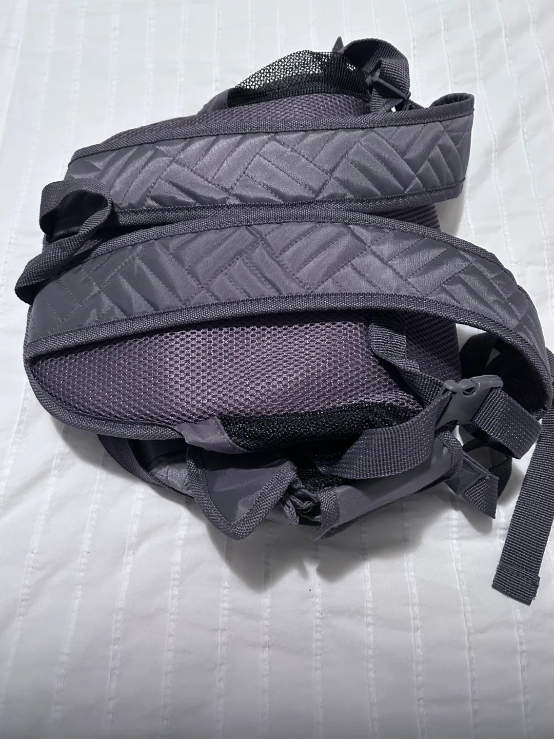 Puppy carrier image indicator(4)