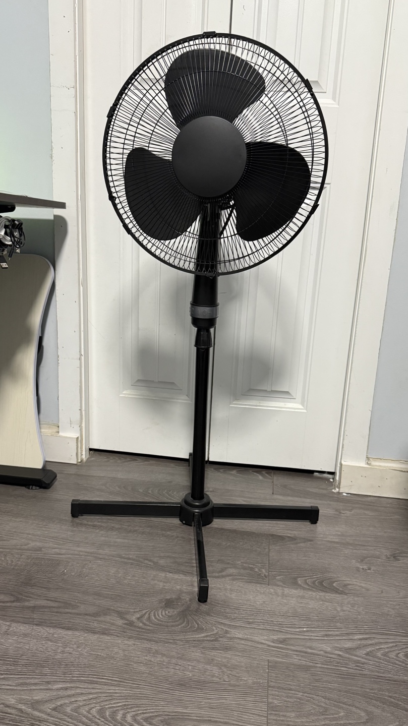 Black Stand Fan