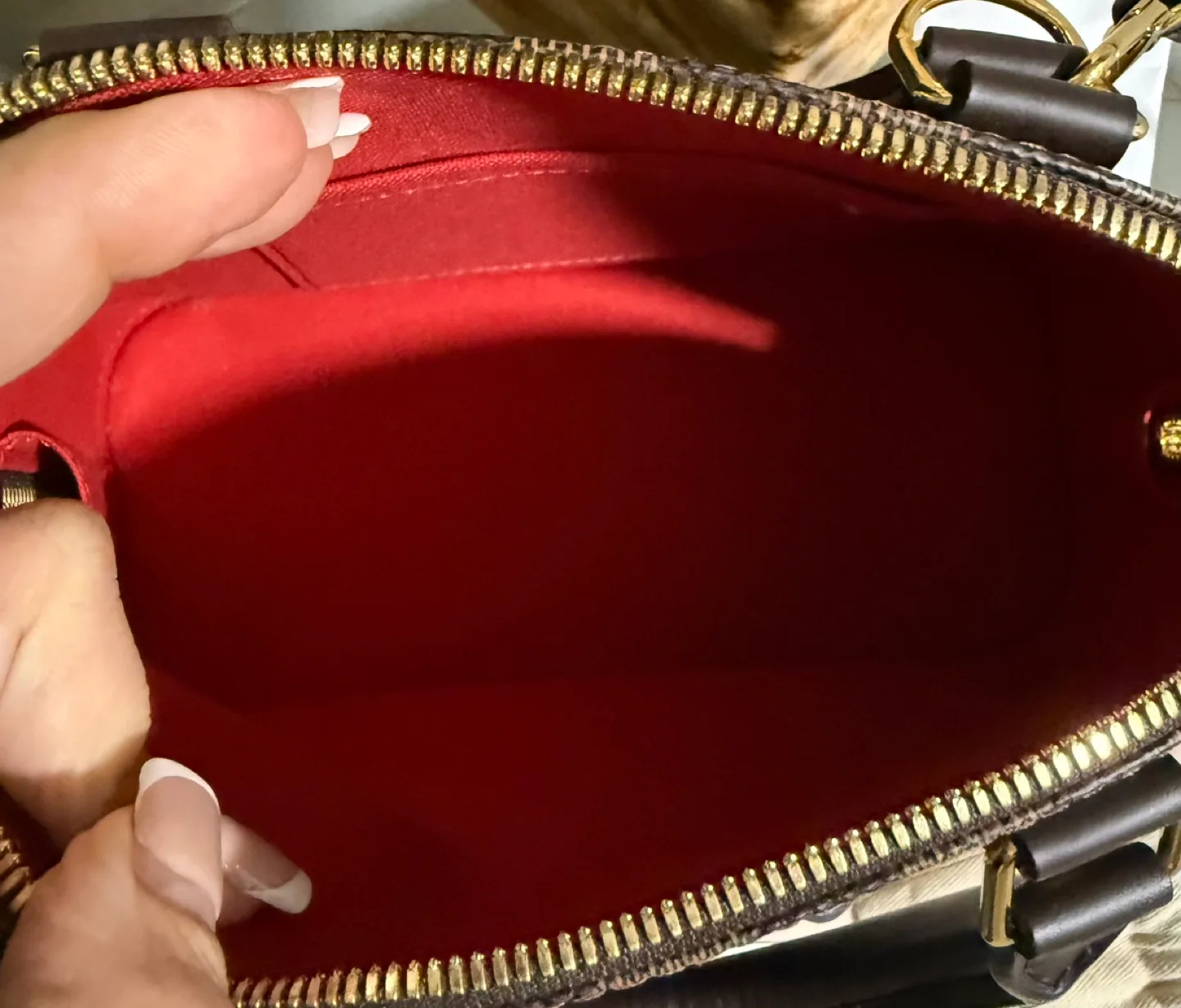 Louis Vuitton Alma BB Damier Ebene - Authentic image indicator(5)