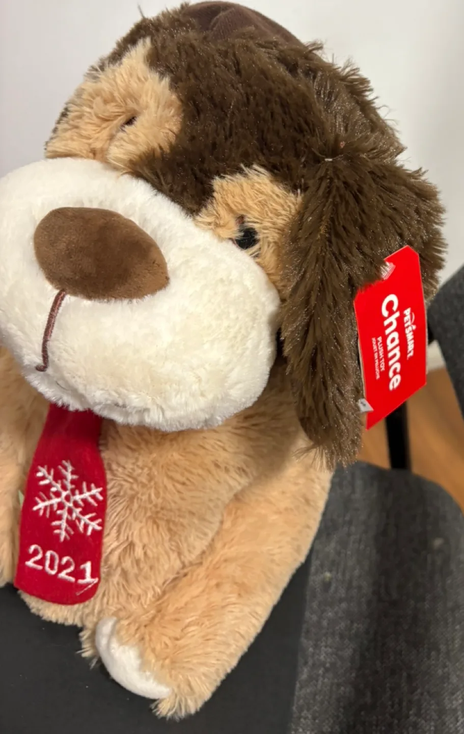 2021 Ty Beanie Boo Plush Dog - Chance image indicator(2)