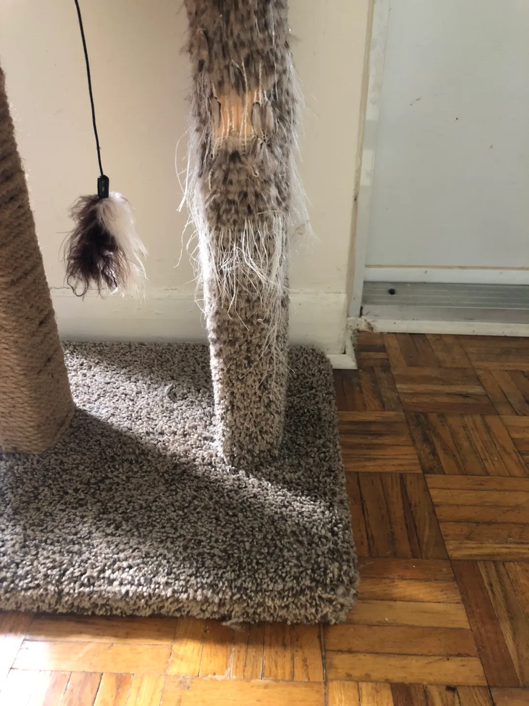 Free: Cat Tree. 🚨 Need gone by Jan 6 🚨 image indicator(2)