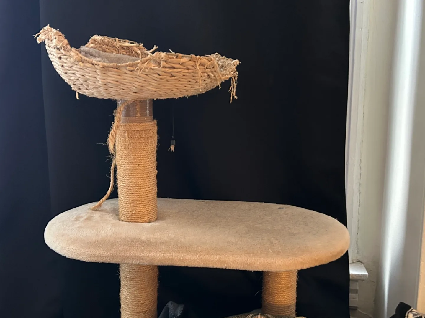 Cat Tree image indicator(8)