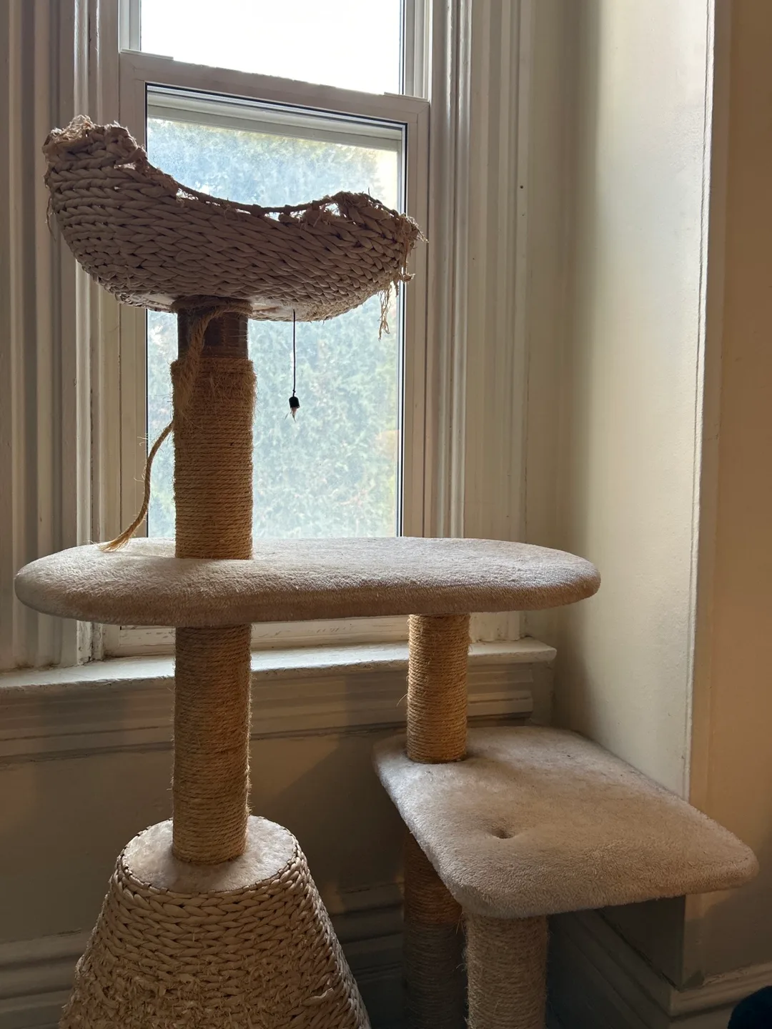 Cat Tree image indicator(4)