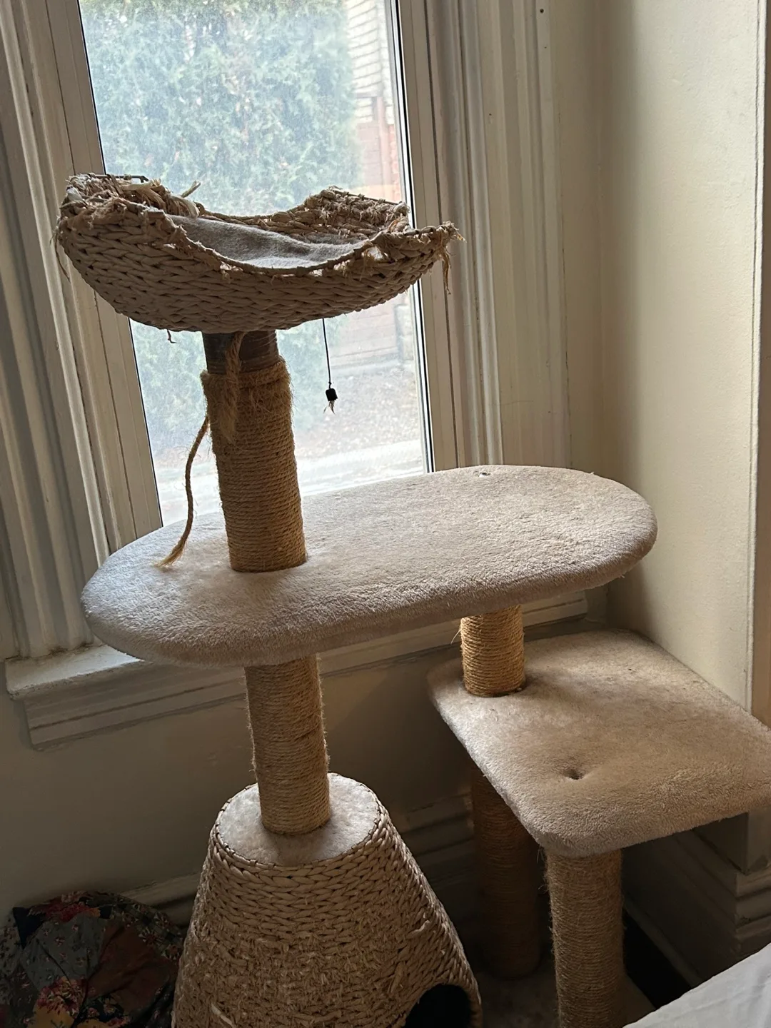 Cat Tree image indicator(7)