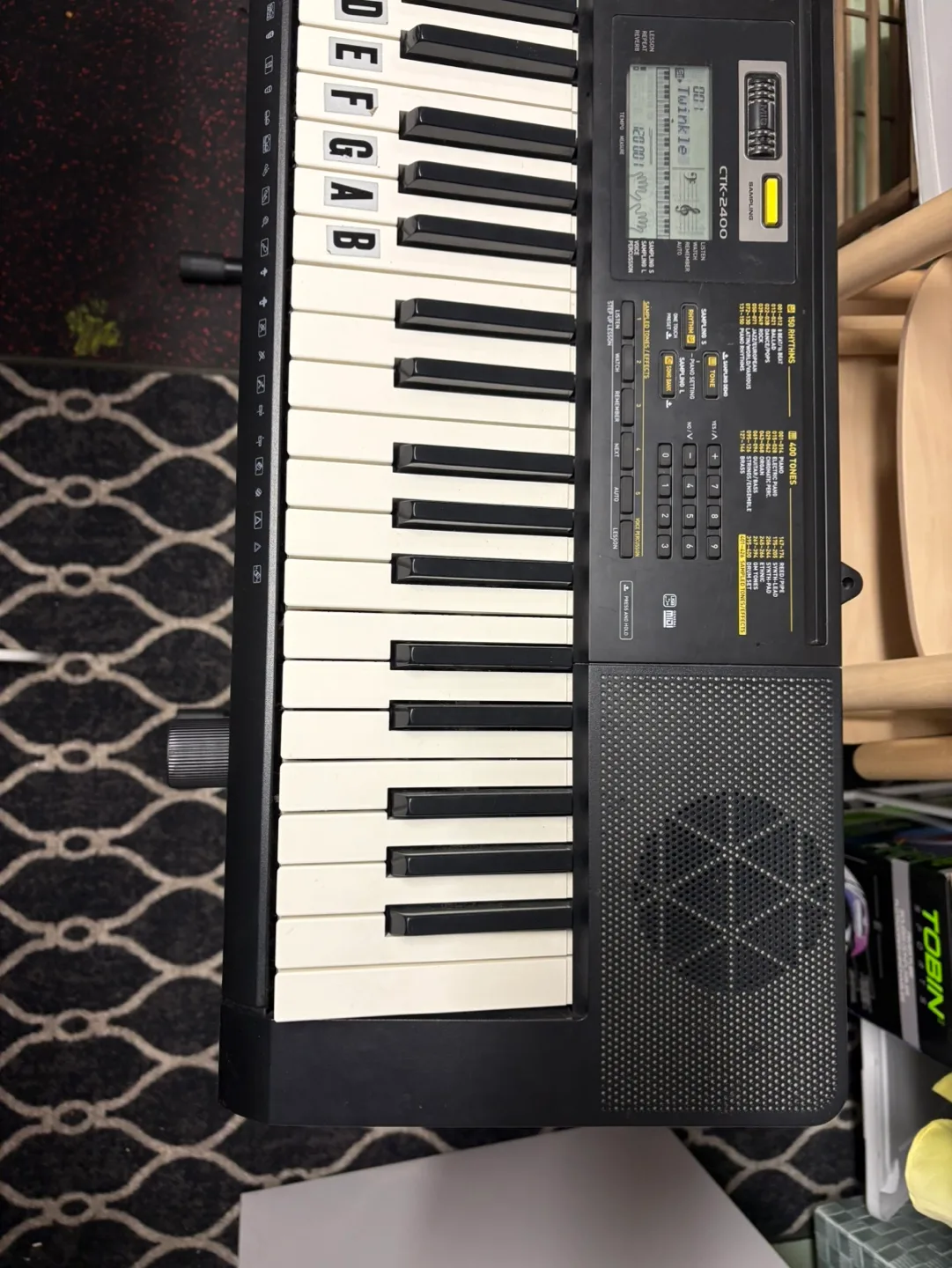Casio CTK-250 Keyboard image indicator(4)