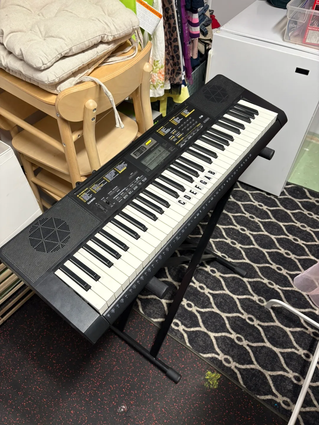 Casio CTK-250 Keyboard image indicator(2)