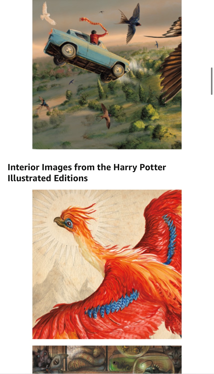Harry Potter The Illustrated Collection books - photo 2