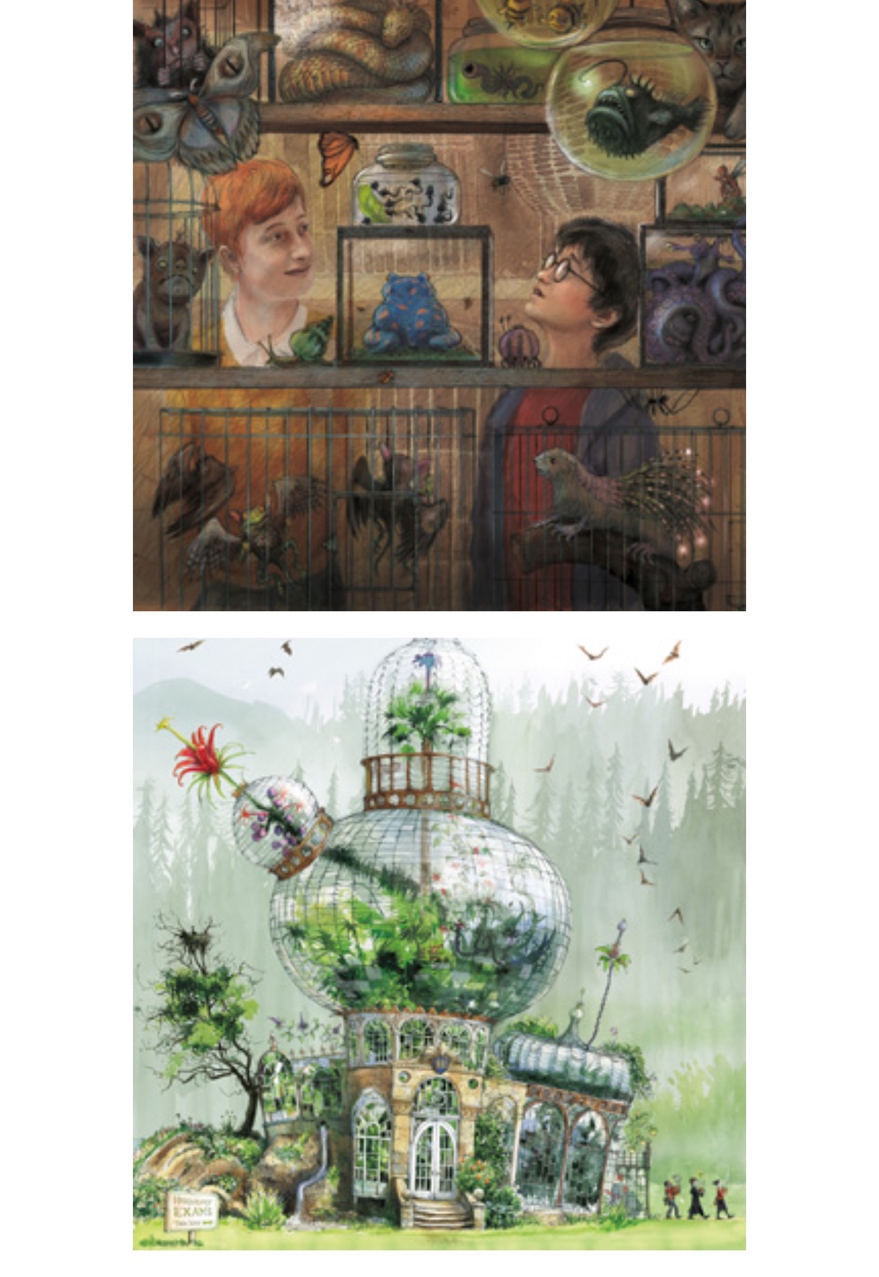 Harry Potter The Illustrated Collection books