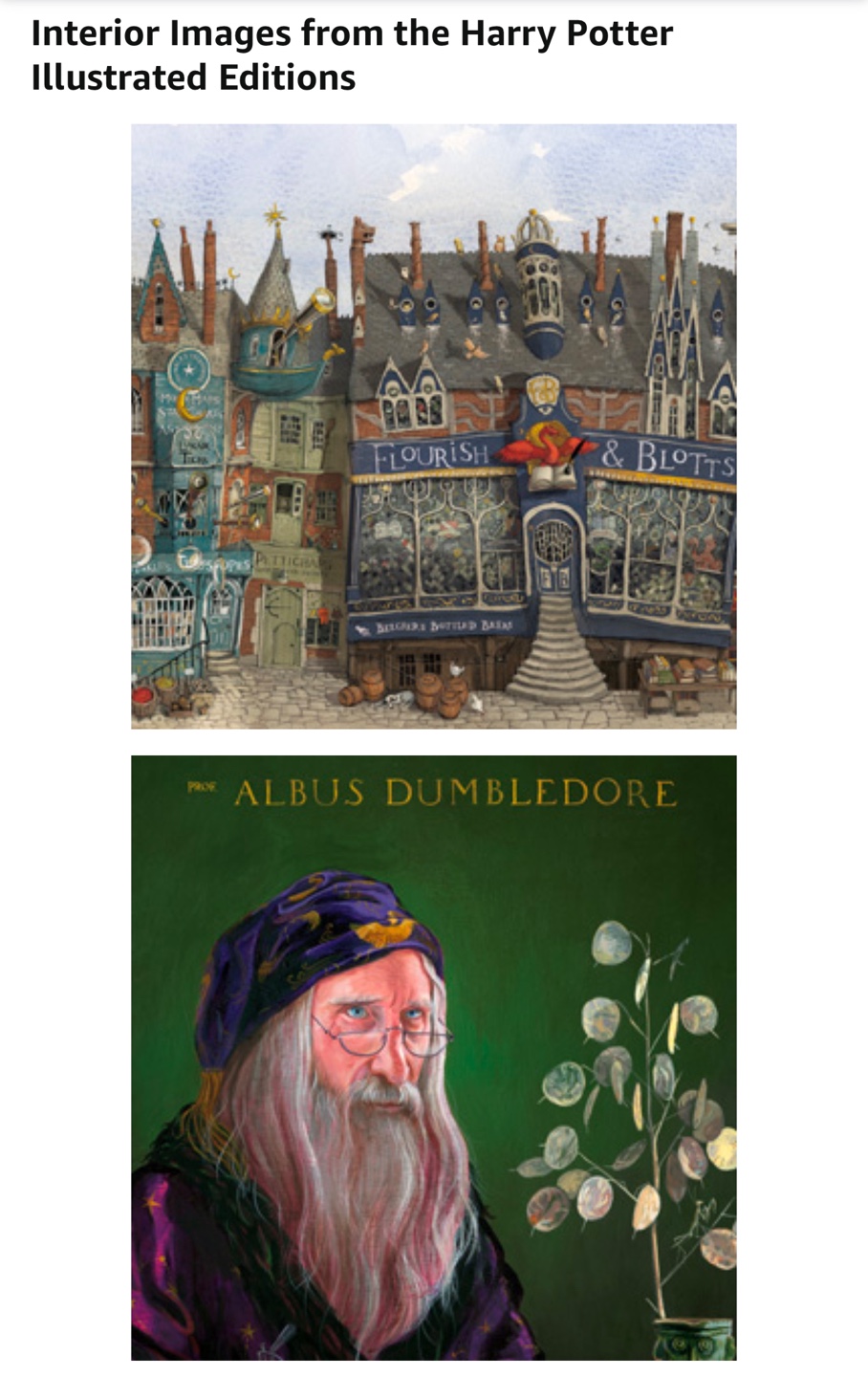 Harry Potter The Illustrated Collection books - photo 3