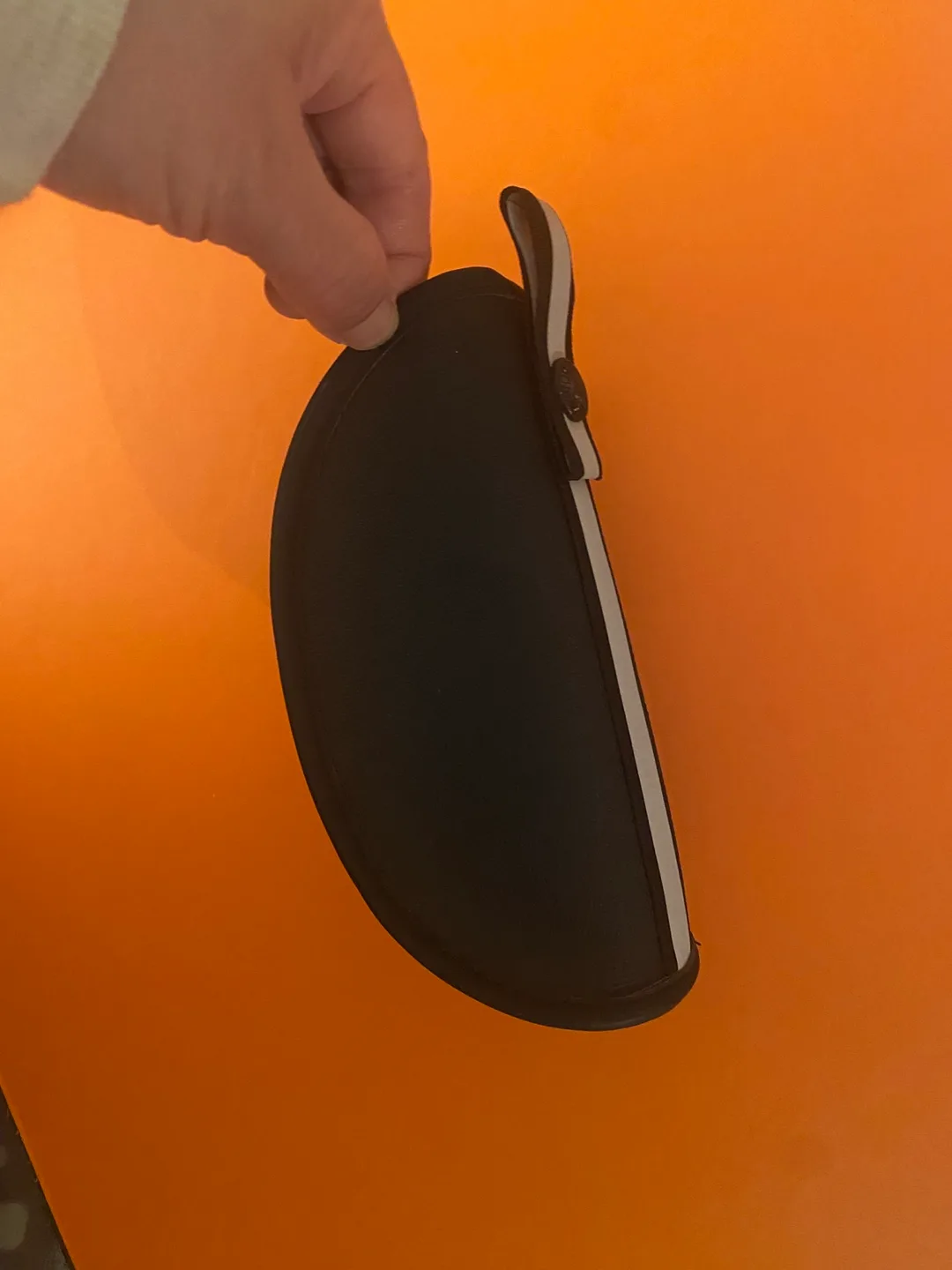 Louis Vuitton Sunglasses Case image indicator(2)