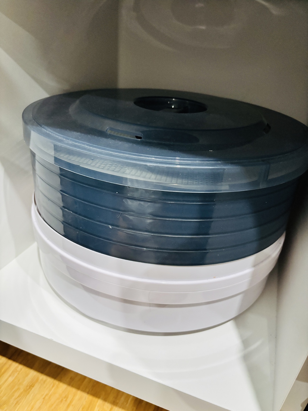 Salton VitaPro Food Dehydrator