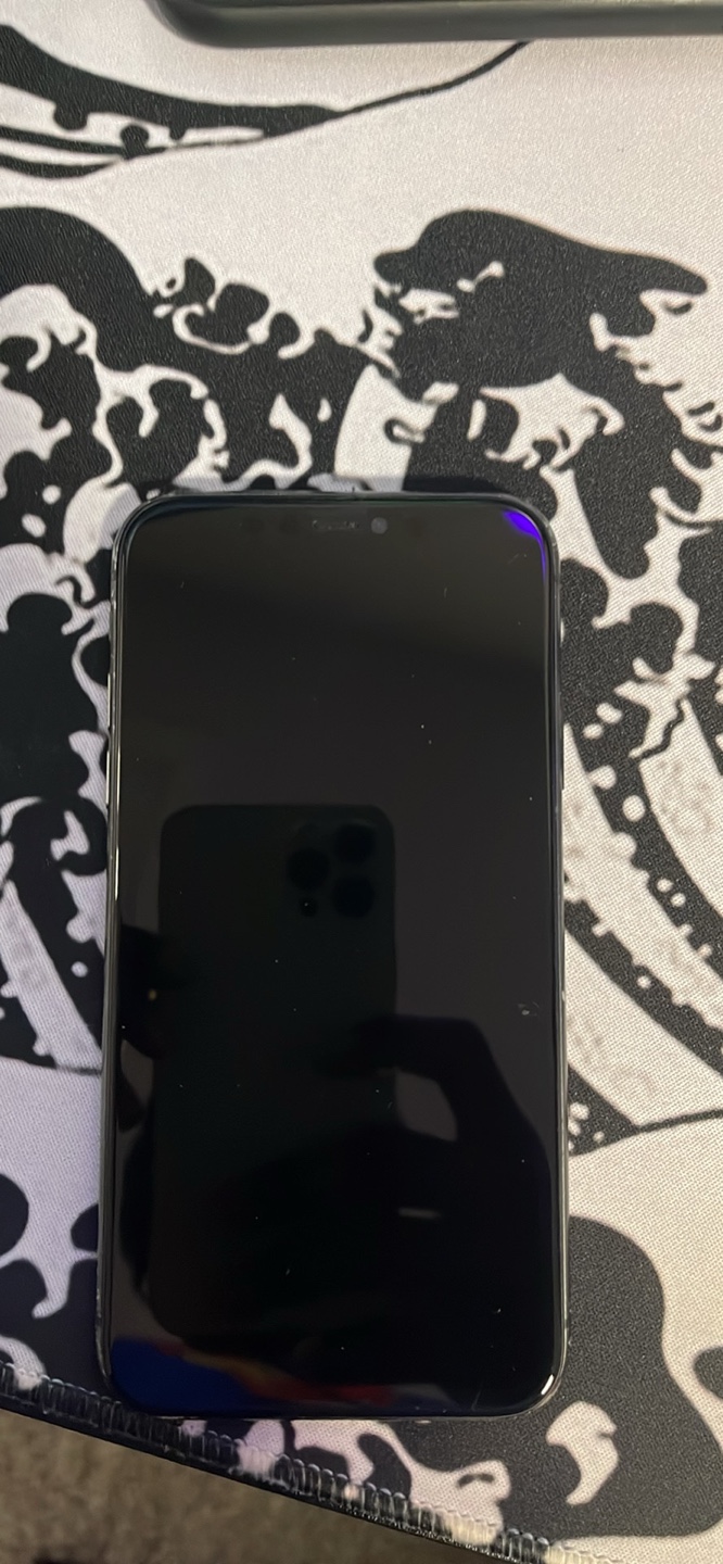 iPhone 11 with case