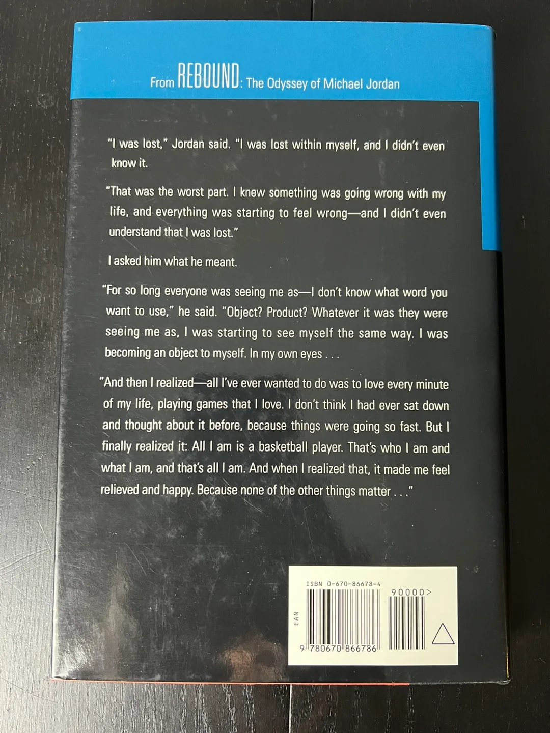 Rebound: The Odyssey of Michael Jordan by Bob Greene image indicator(2)