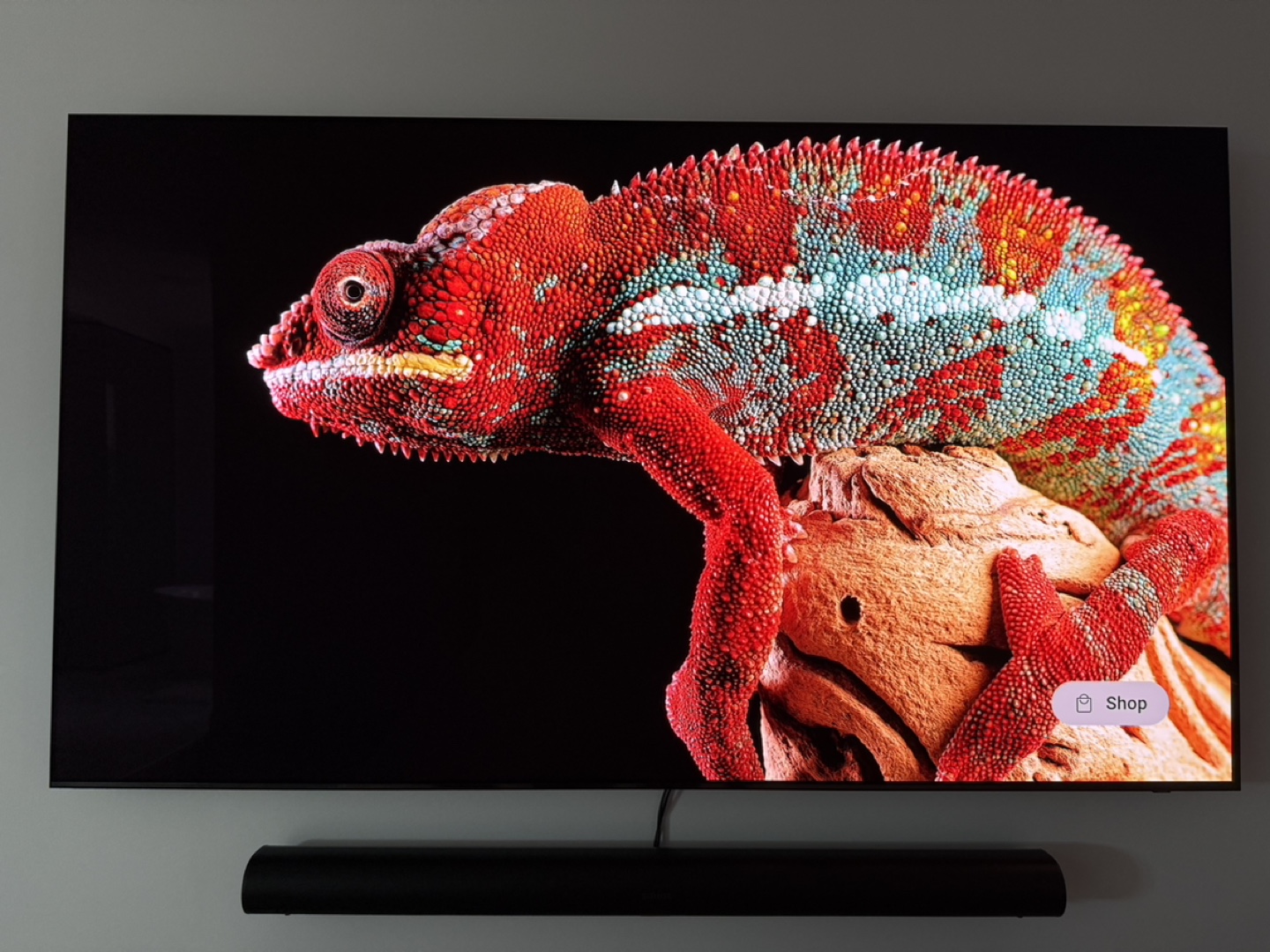 OLED 77 inch TV