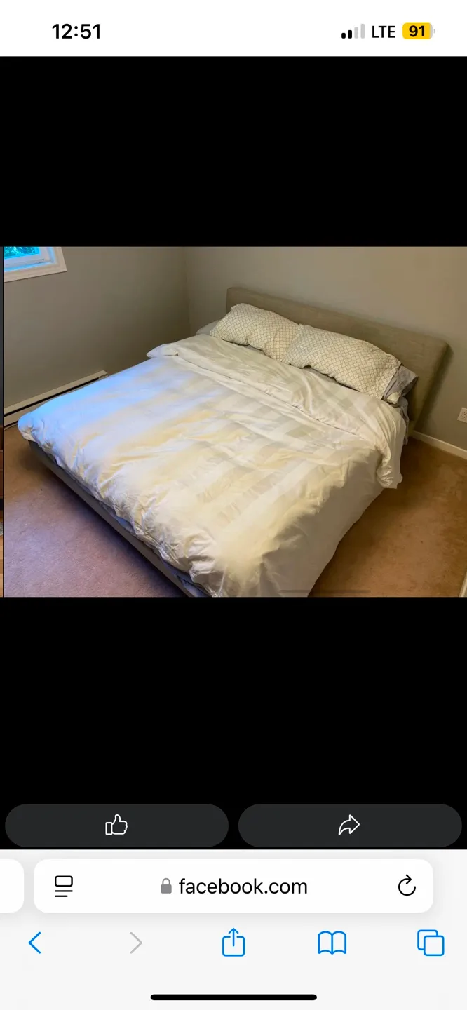Article King Bed + Ghost Bed Mattress thumbnail