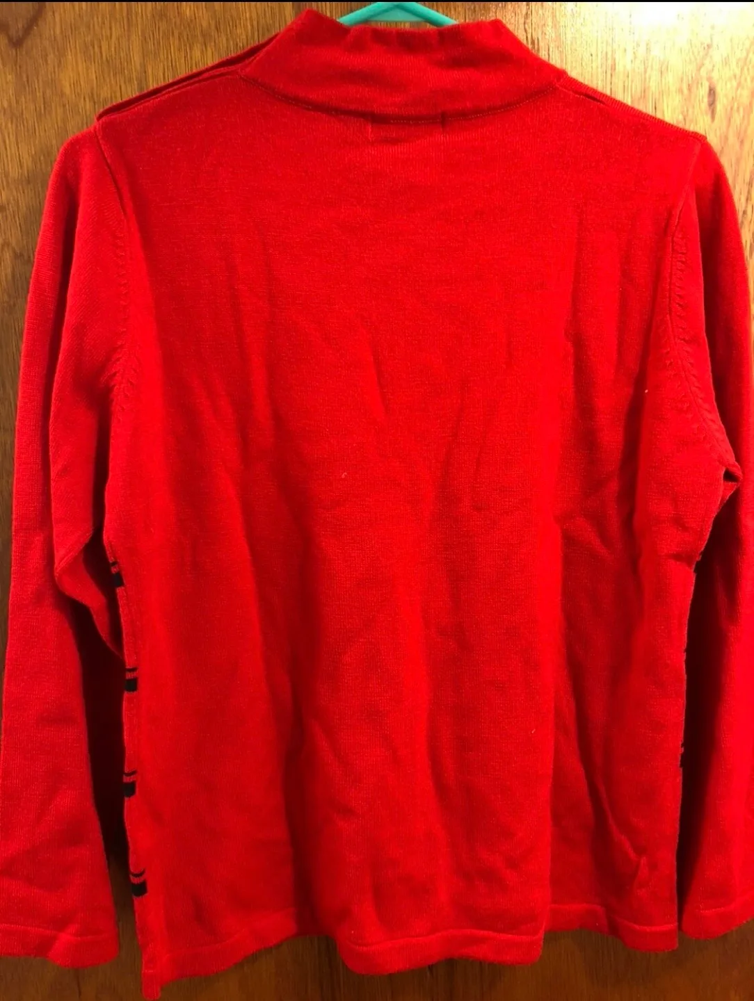 Theoria Red and Black Striped Sweater image indicator(4)