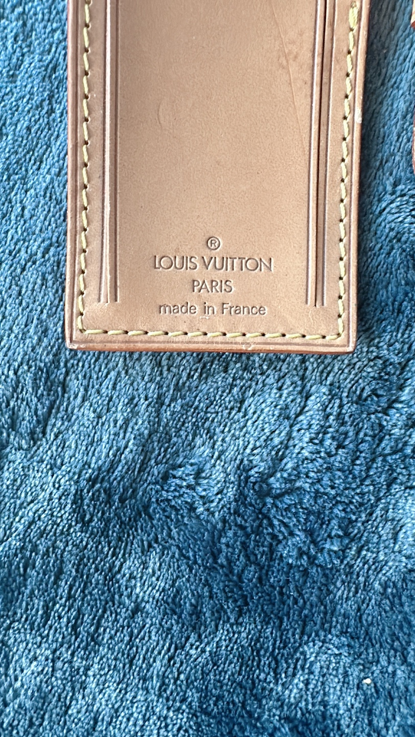 Louis Vuitton Luggage Tag & Poignet set - photo 4