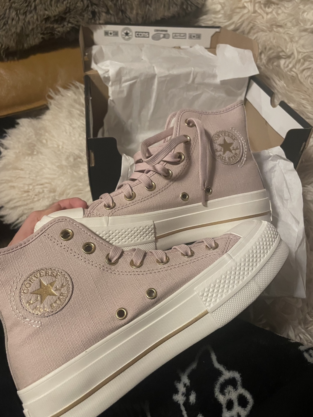 converse NEW