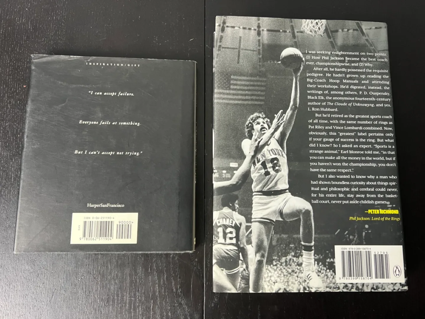 Phil Jackson & Michael Jordan I Can't Accept Not Trying image indicator(2)