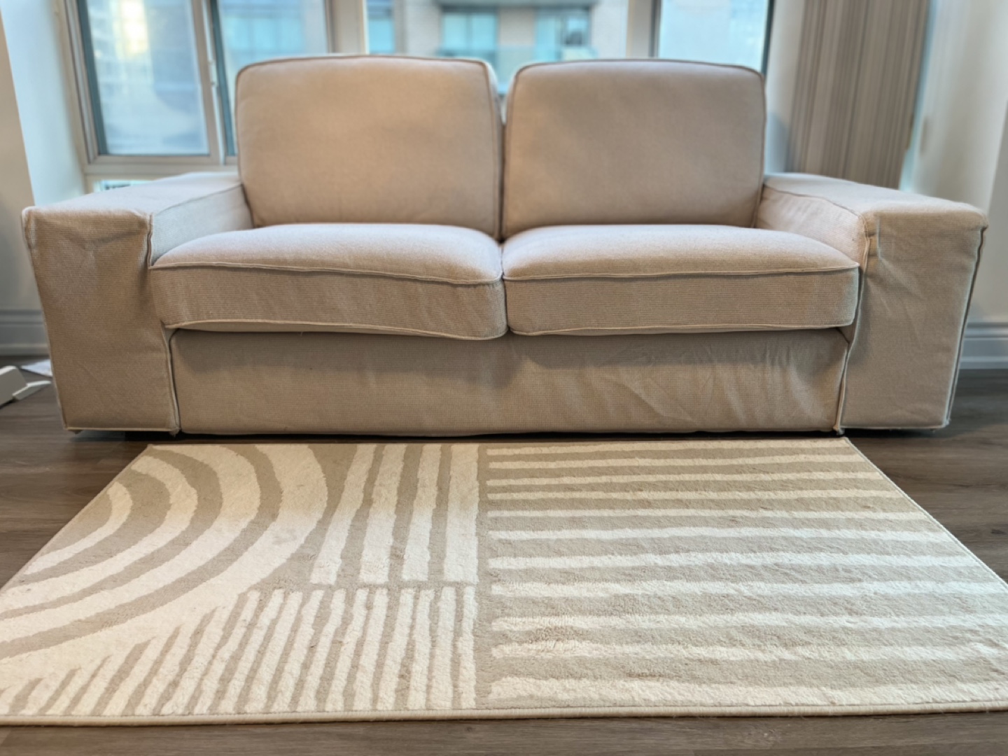 Modern Rug