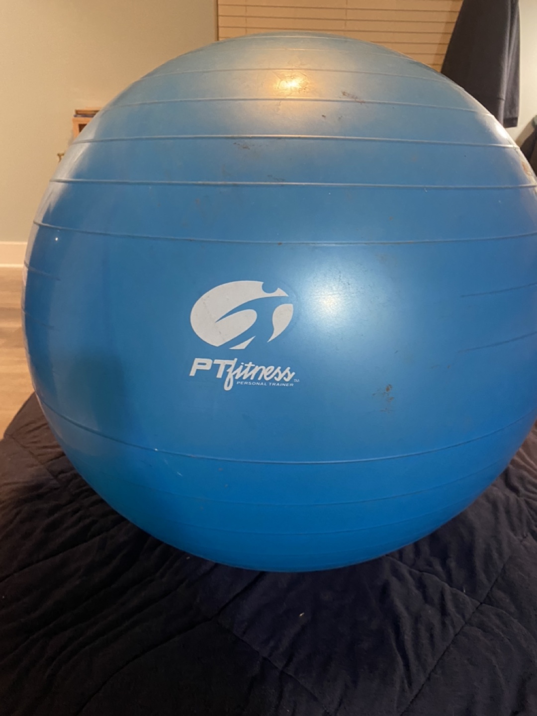 Exercise ball - photo 2